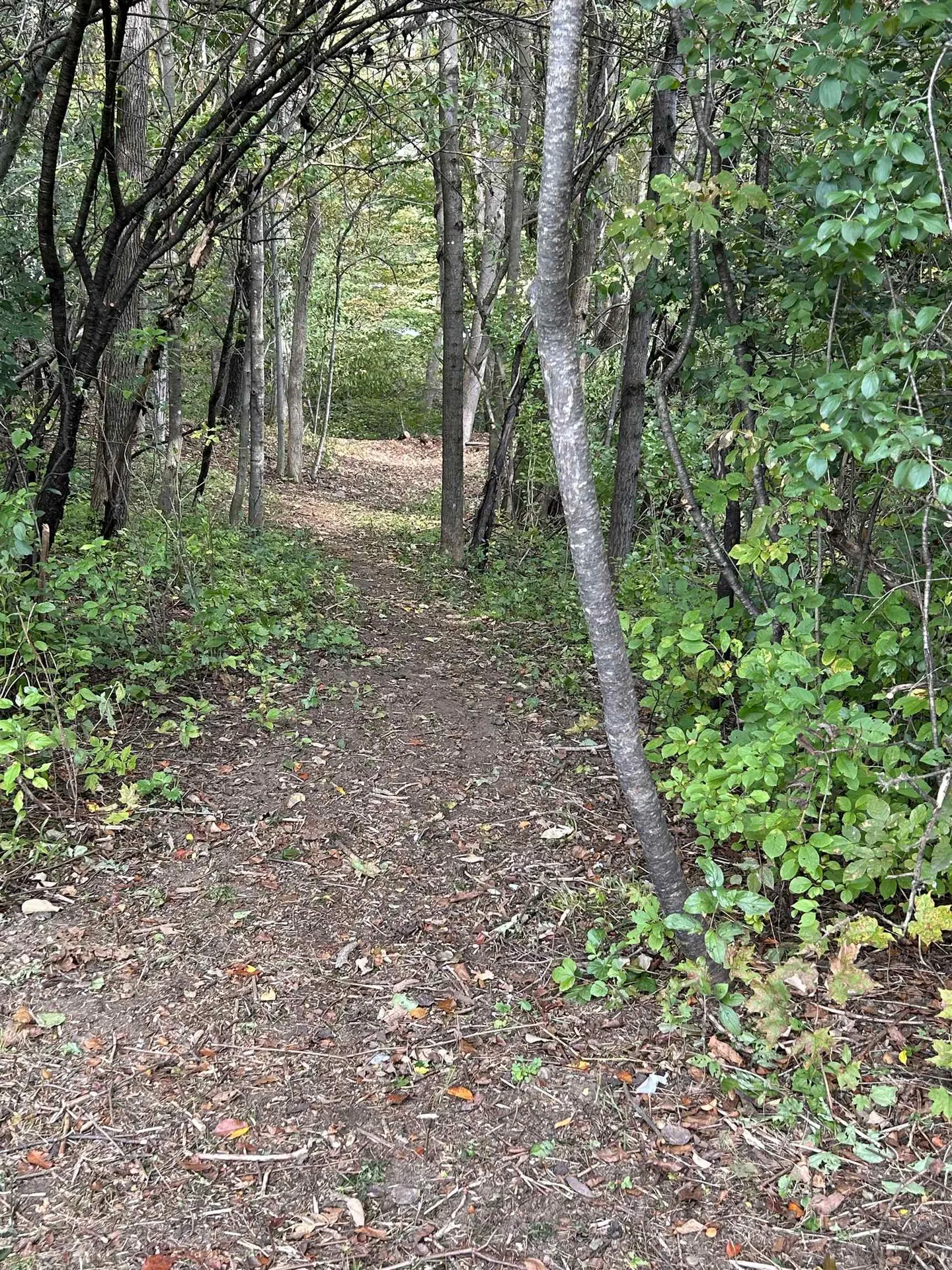 11 Brigham Circle Randolph VT 05060