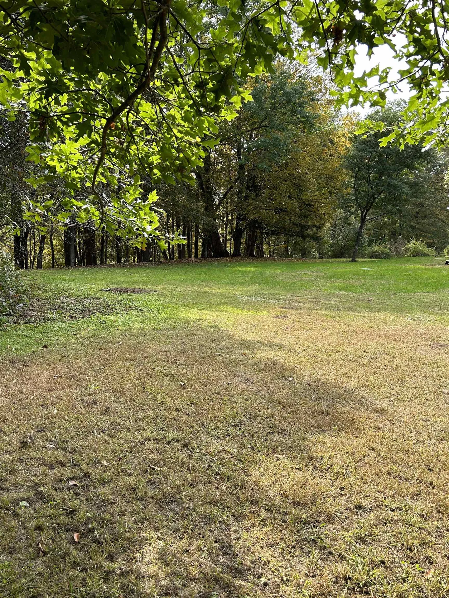 11 Brigham Circle Randolph VT 05060