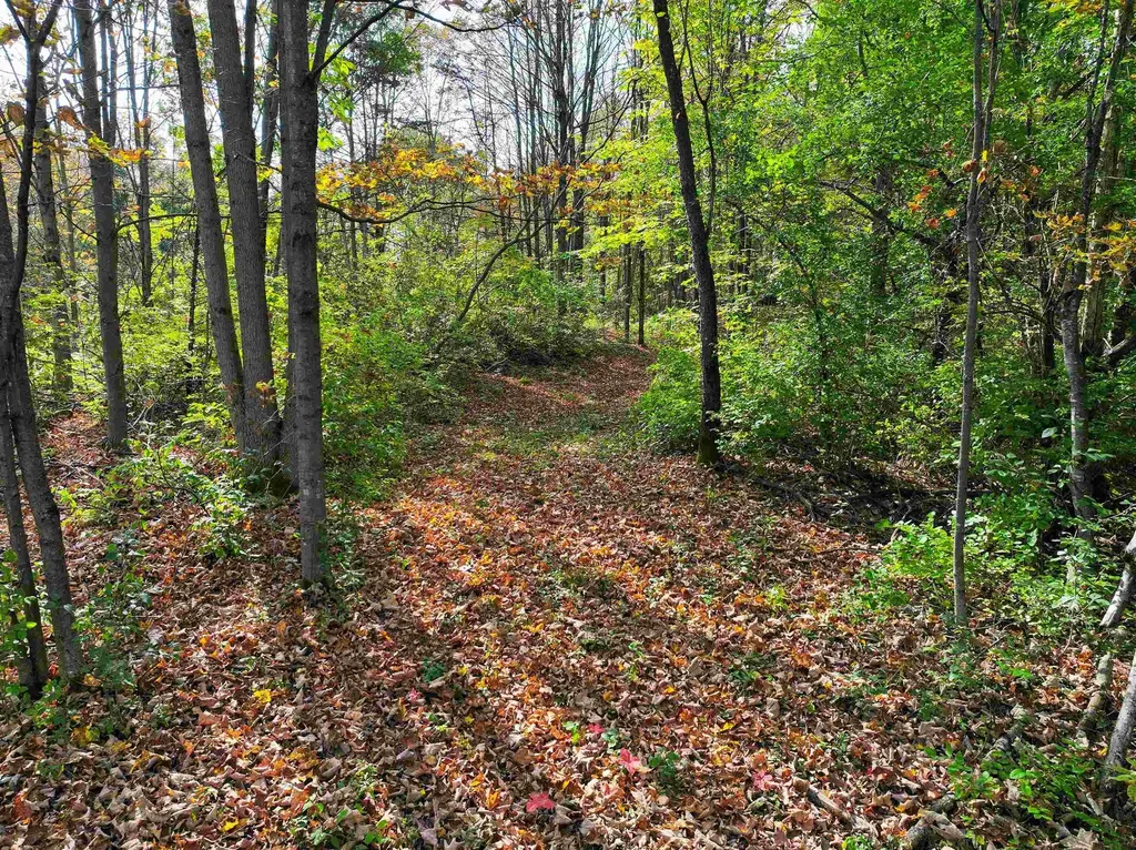 Tbd Galvin Road Whiting VT 05778