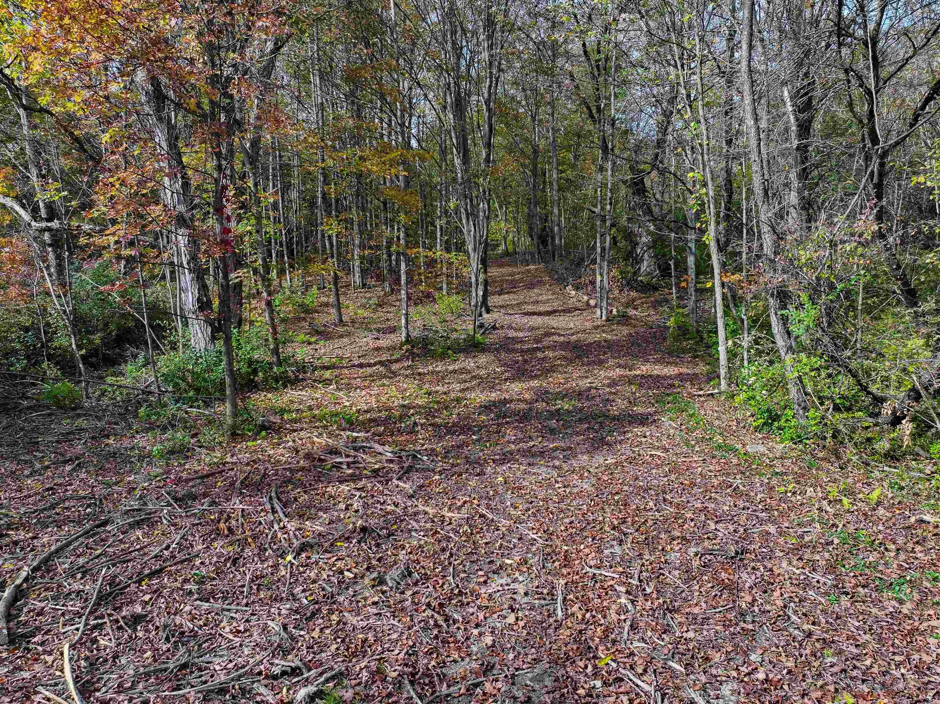 Tbd Galvin Road Whiting VT 05778