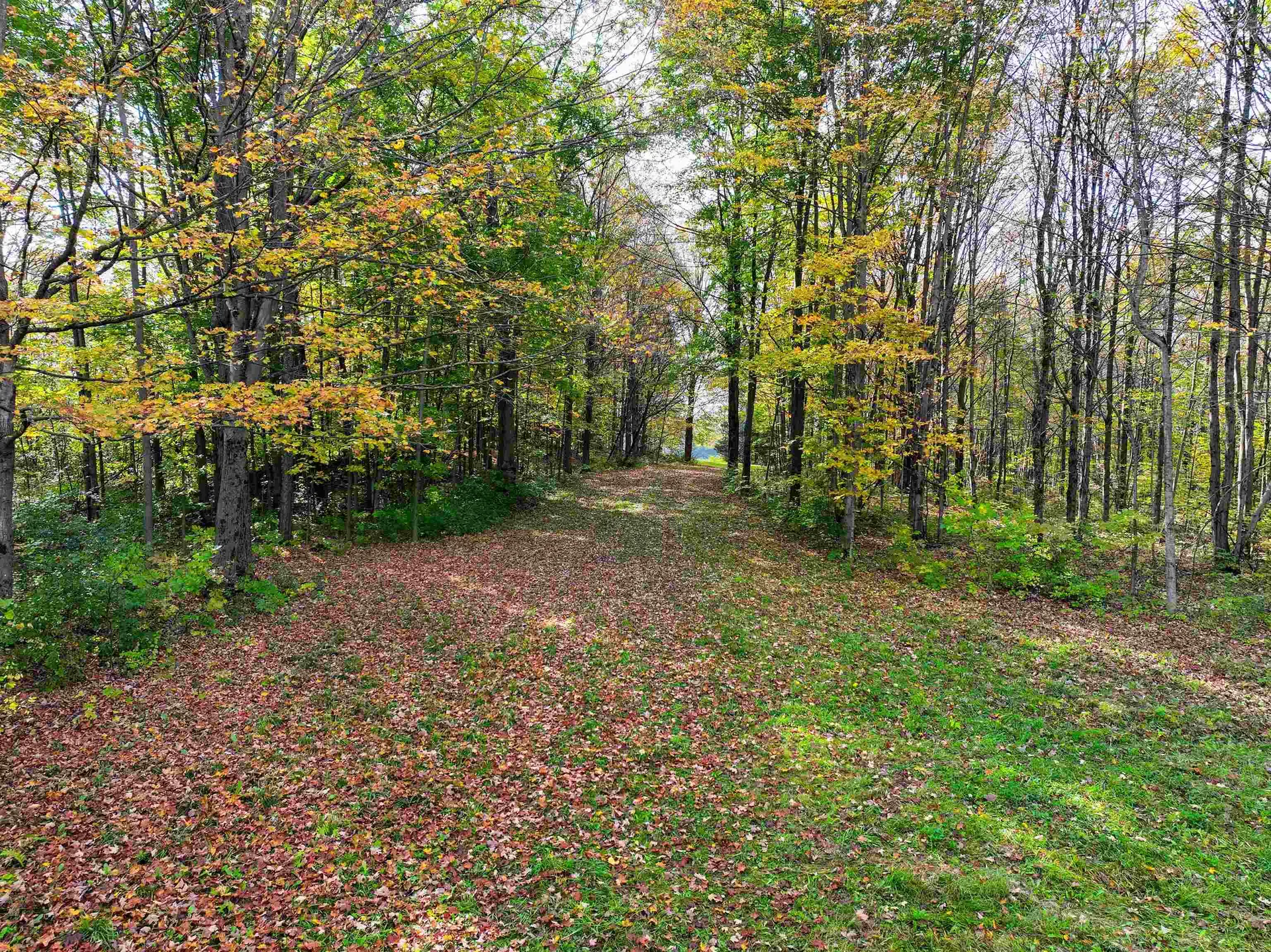 Tbd Galvin Road Whiting VT 05778