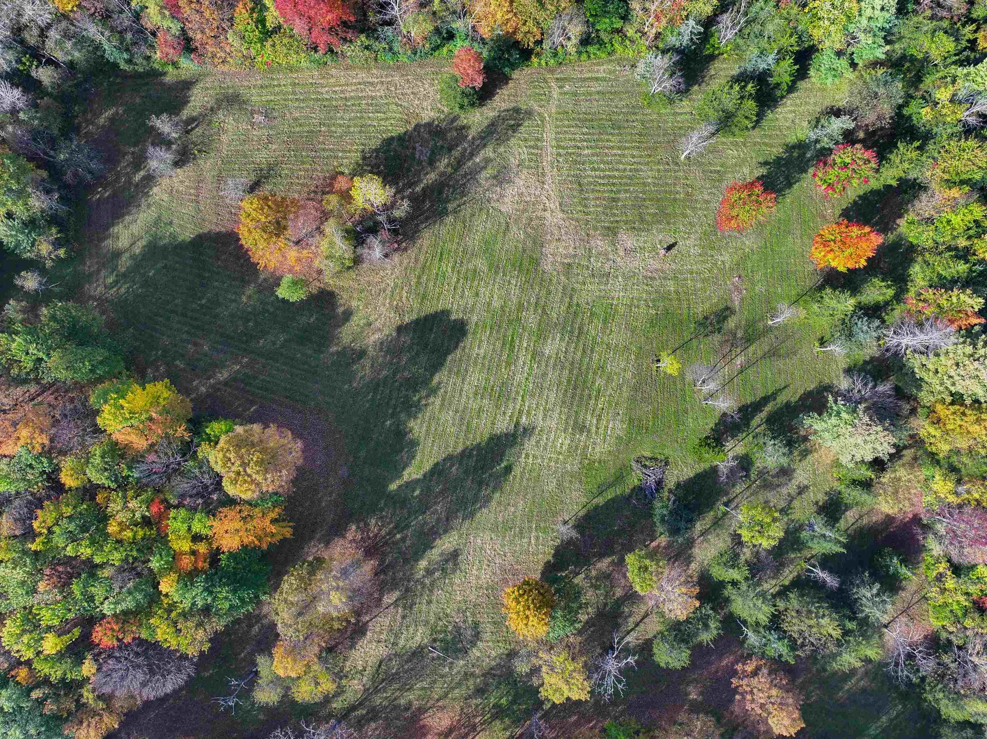 Tbd Galvin Road Whiting VT 05778