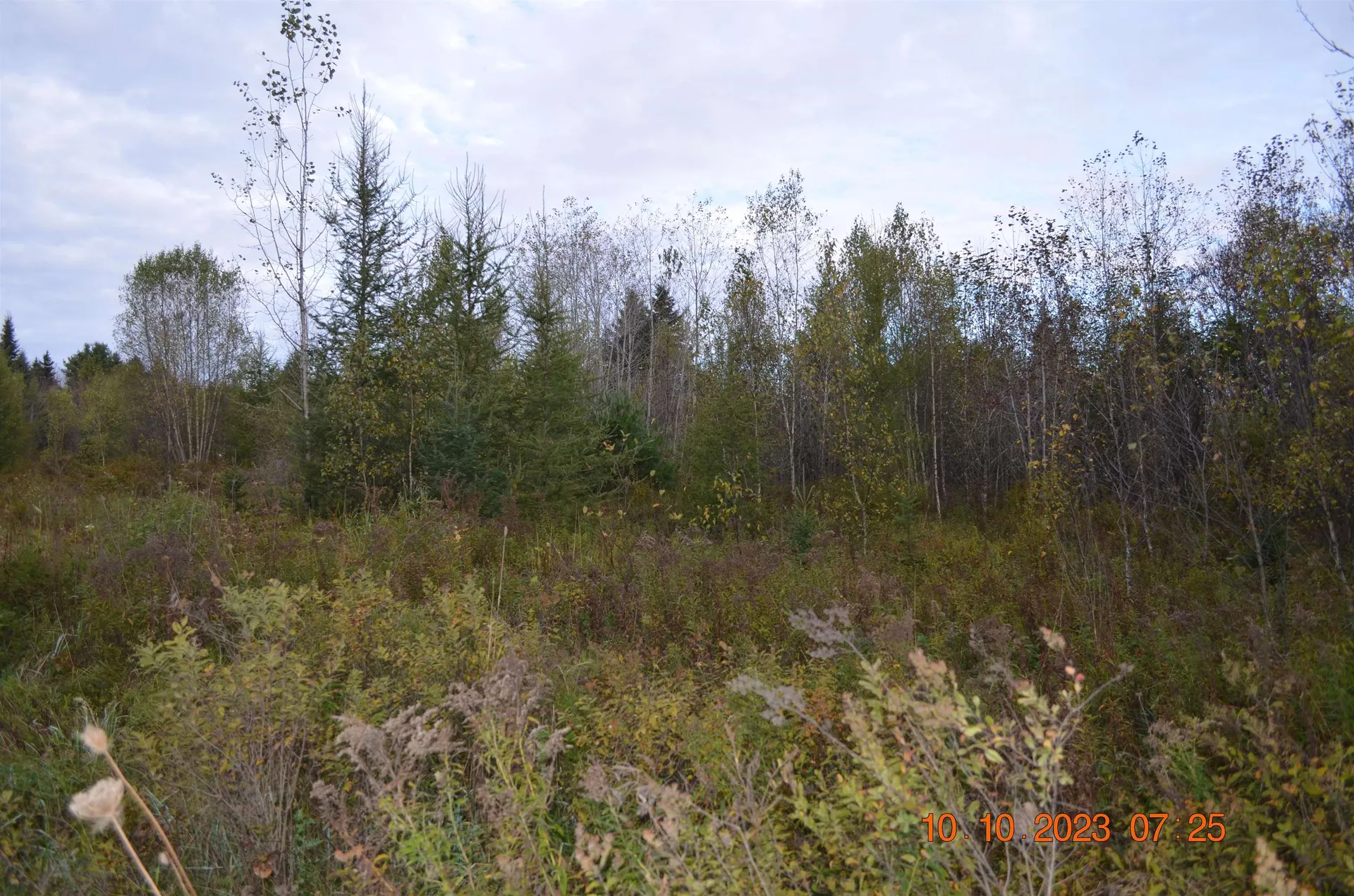 00 Sheffield Road Sutton VT 05867