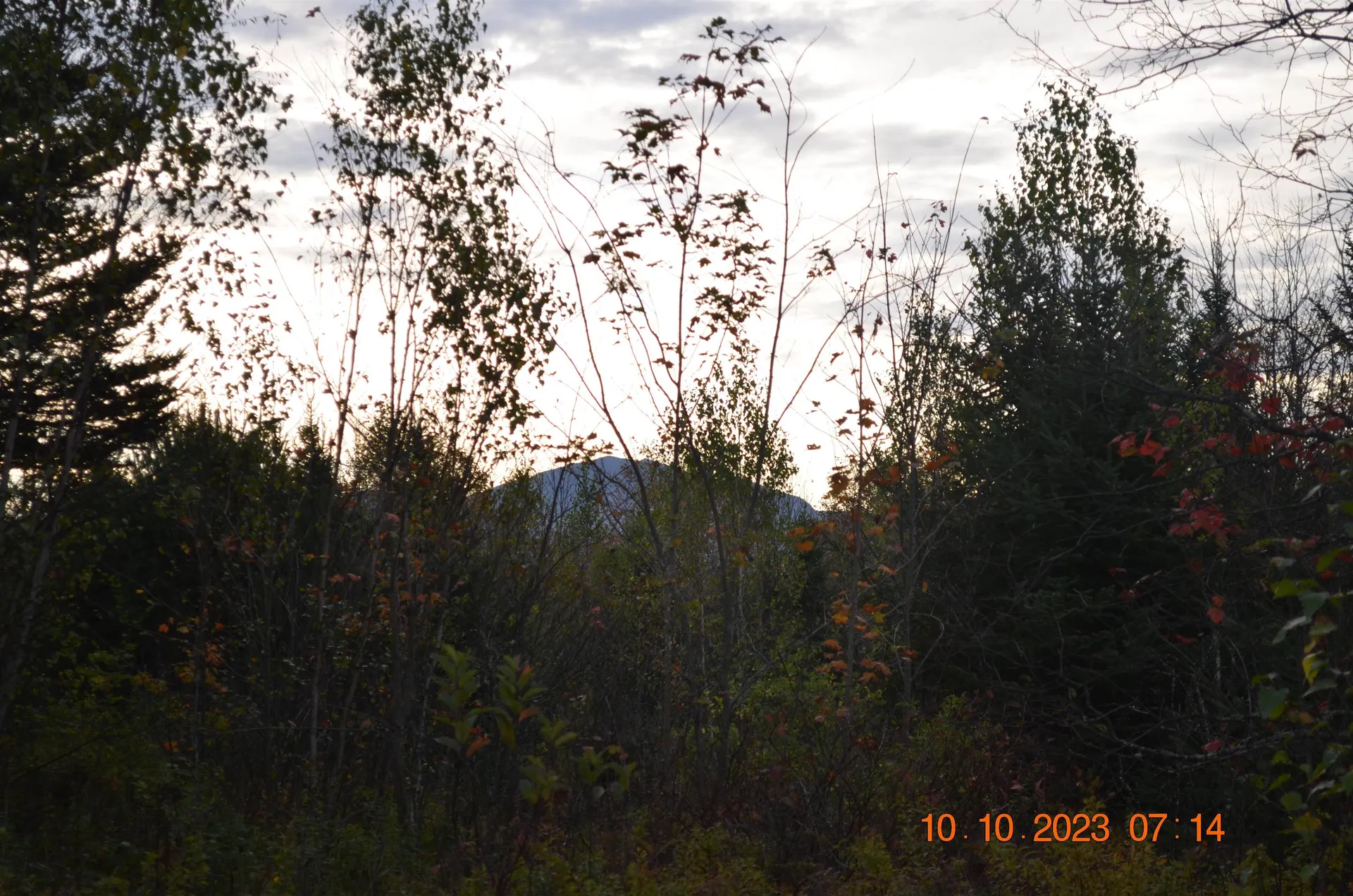 00 Sheffield Road Sutton VT 05867