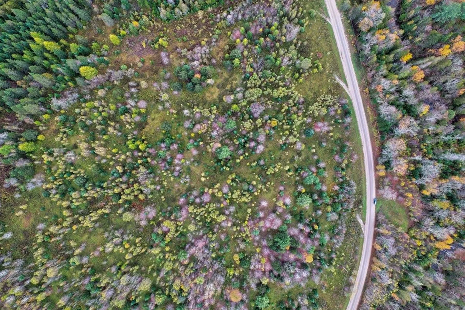 00 Sheffield Road Sutton VT 05867