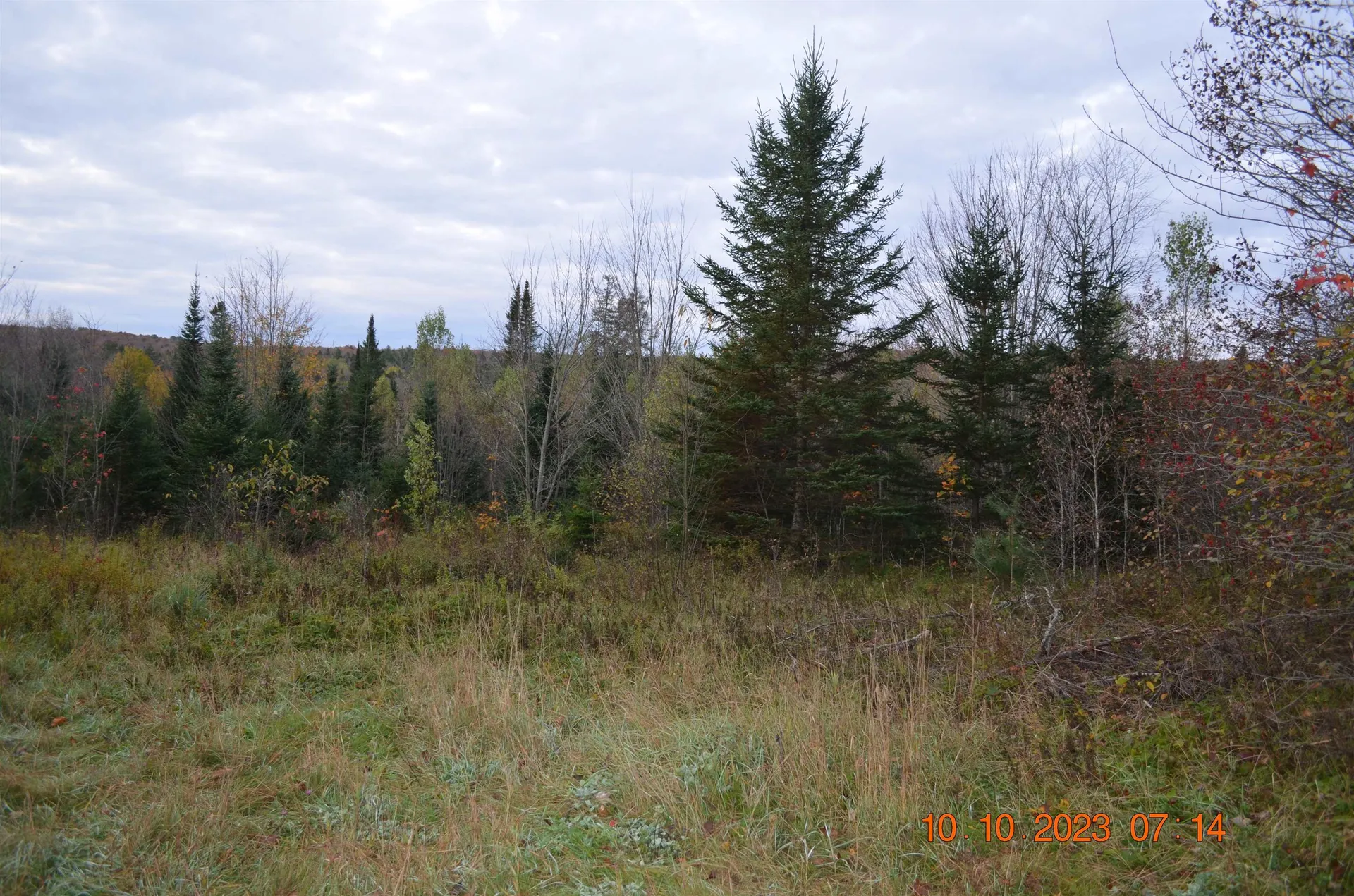 00 Sheffield Road Sutton VT 05867