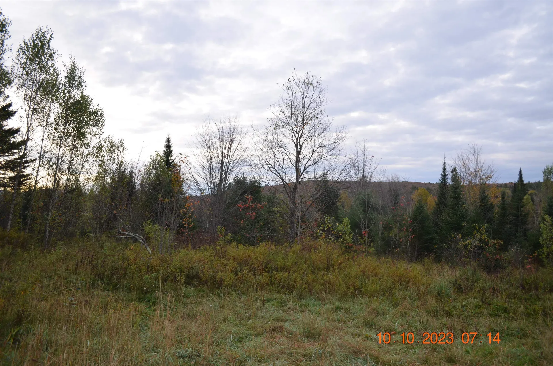 00 Sheffield Road Sutton VT 05867