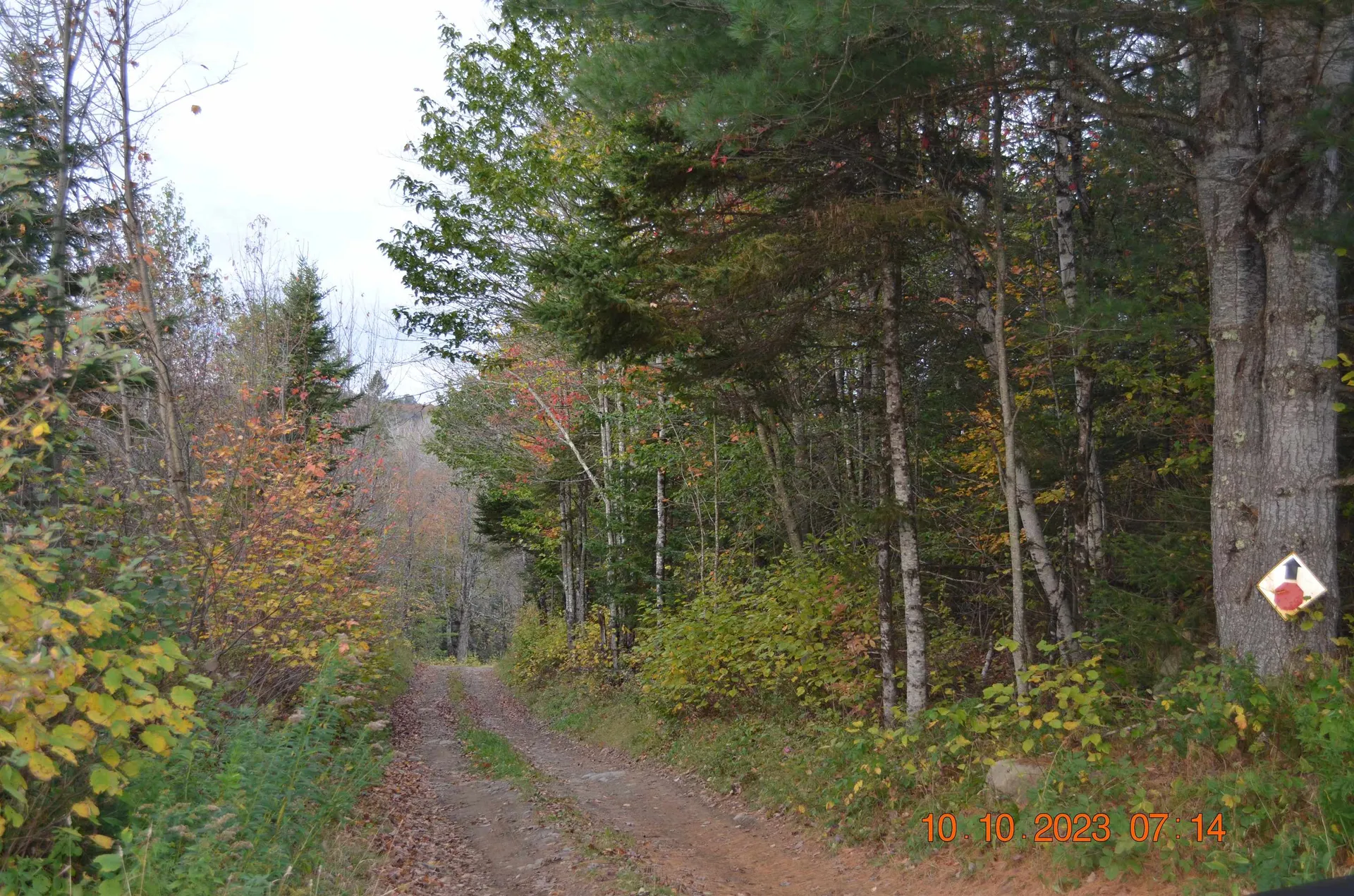 00 Sheffield Road Sutton VT 05867