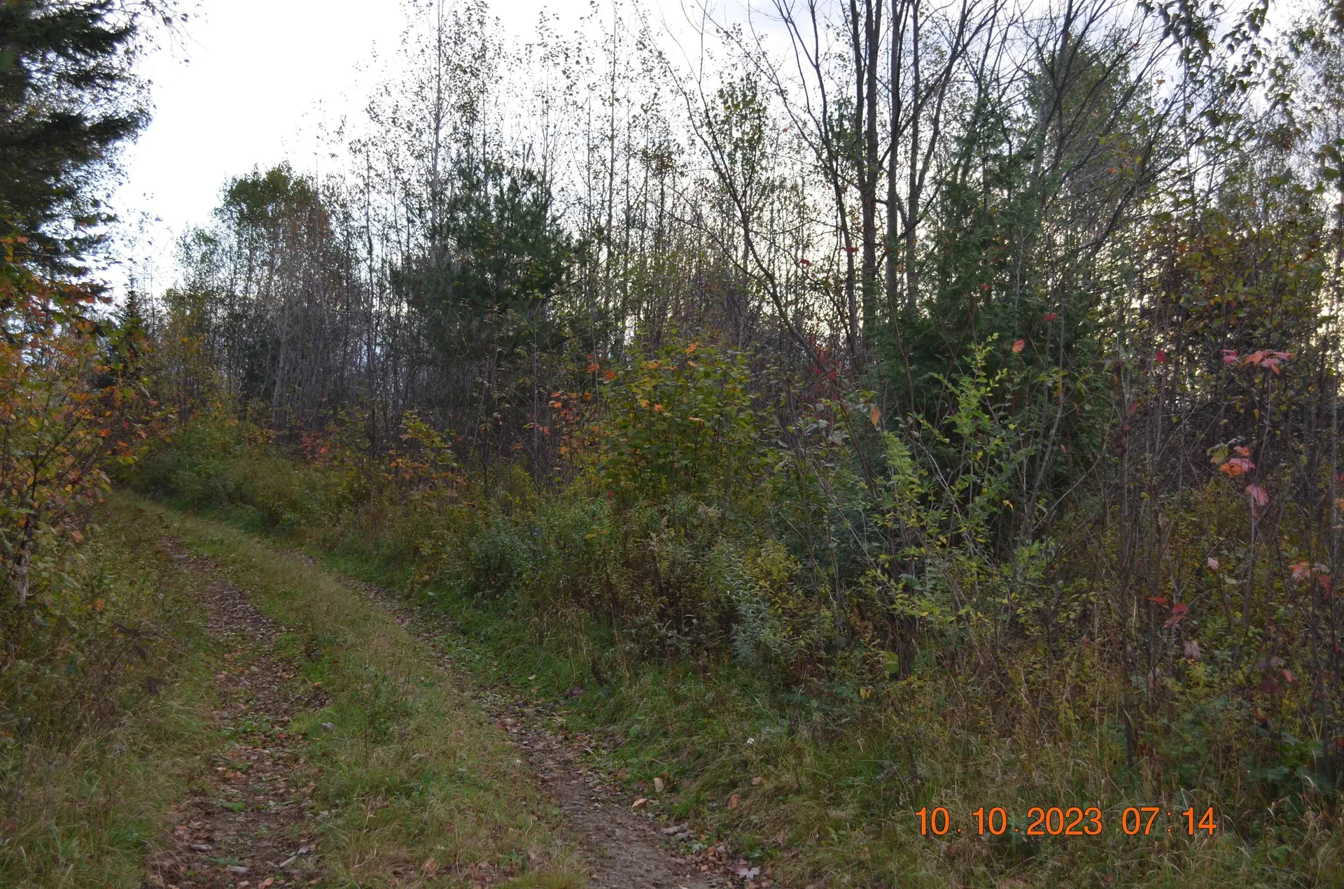 00 Sheffield Road Sutton VT 05867