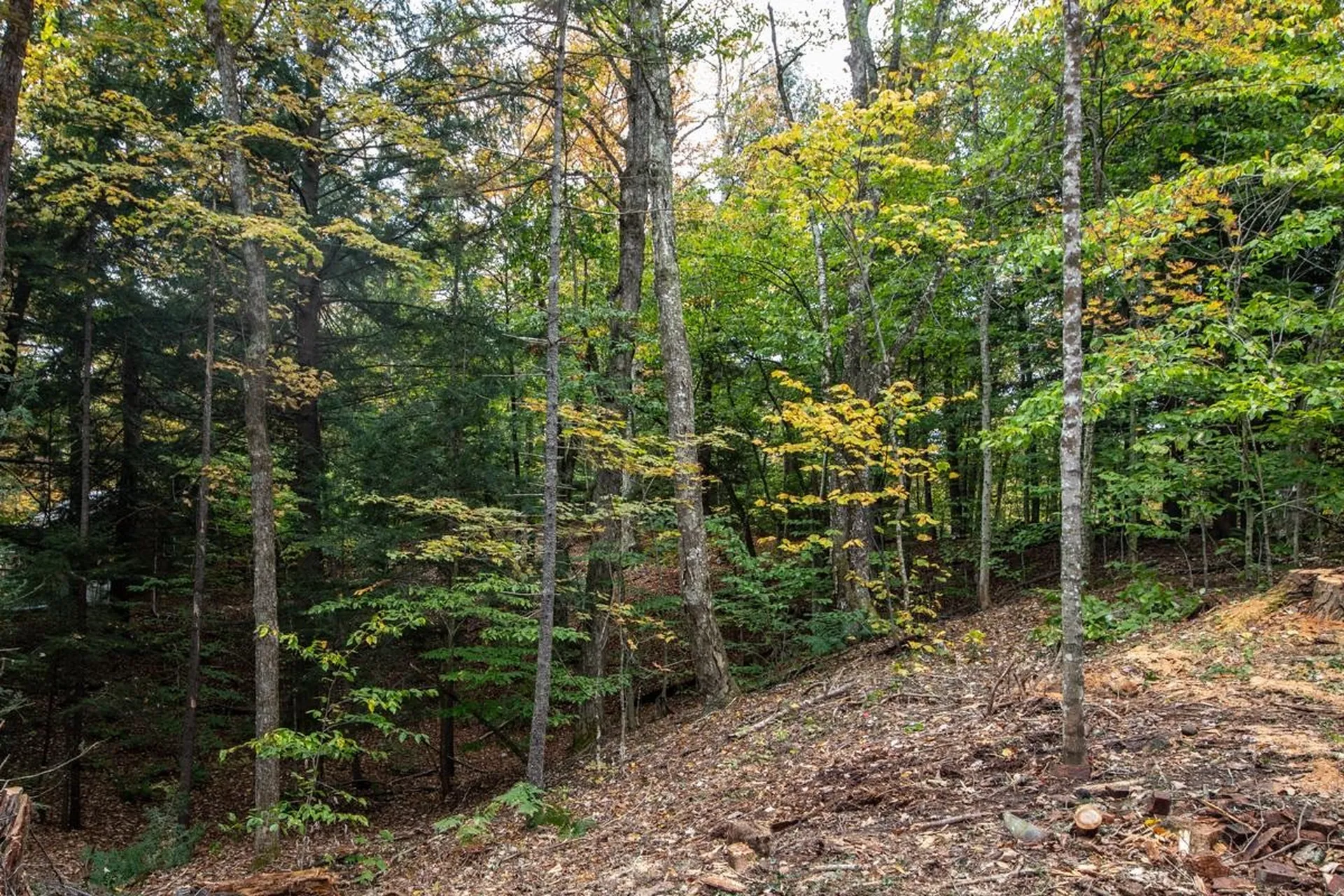 150 North Shore Drive Ludlow VT 05149