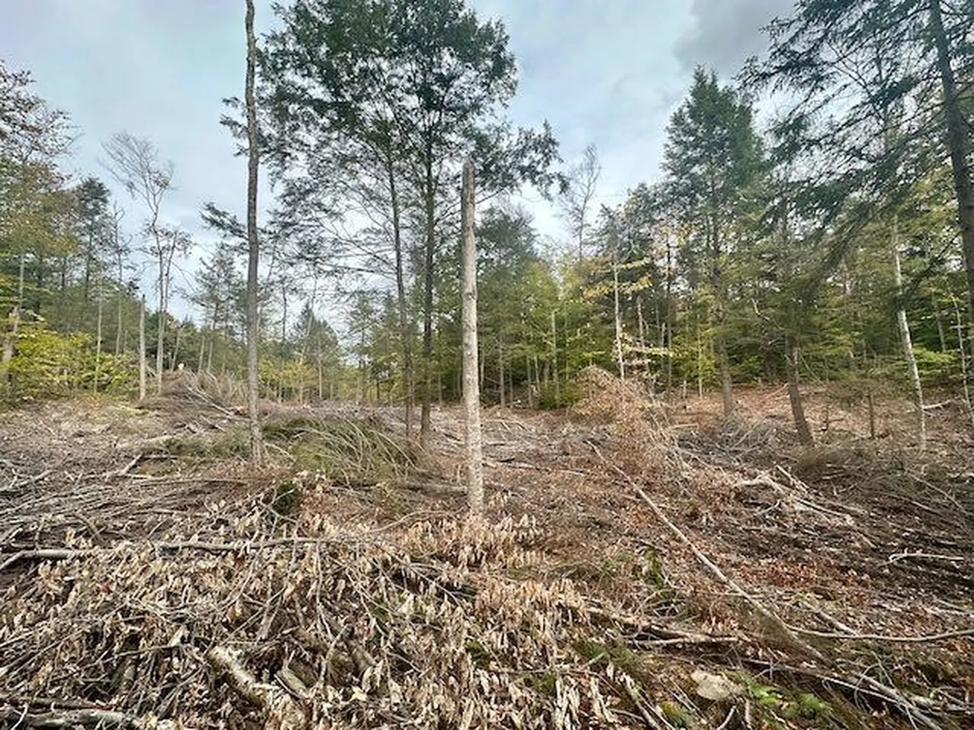 332 Mcgowan Road Enosburg VT 05450