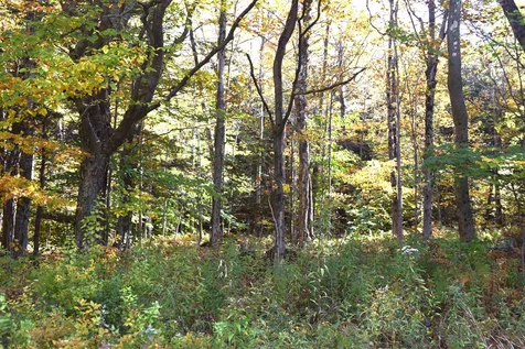 Lot 3 Kentfield Road Whitingham VT 05361