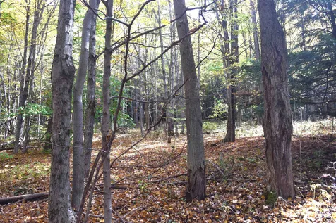 Lot 3 Kentfield Road Whitingham VT 05361