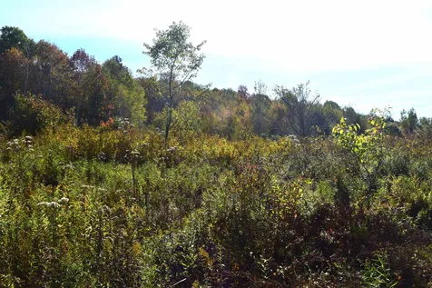 Lot 3 Kentfield Road Whitingham VT 05361