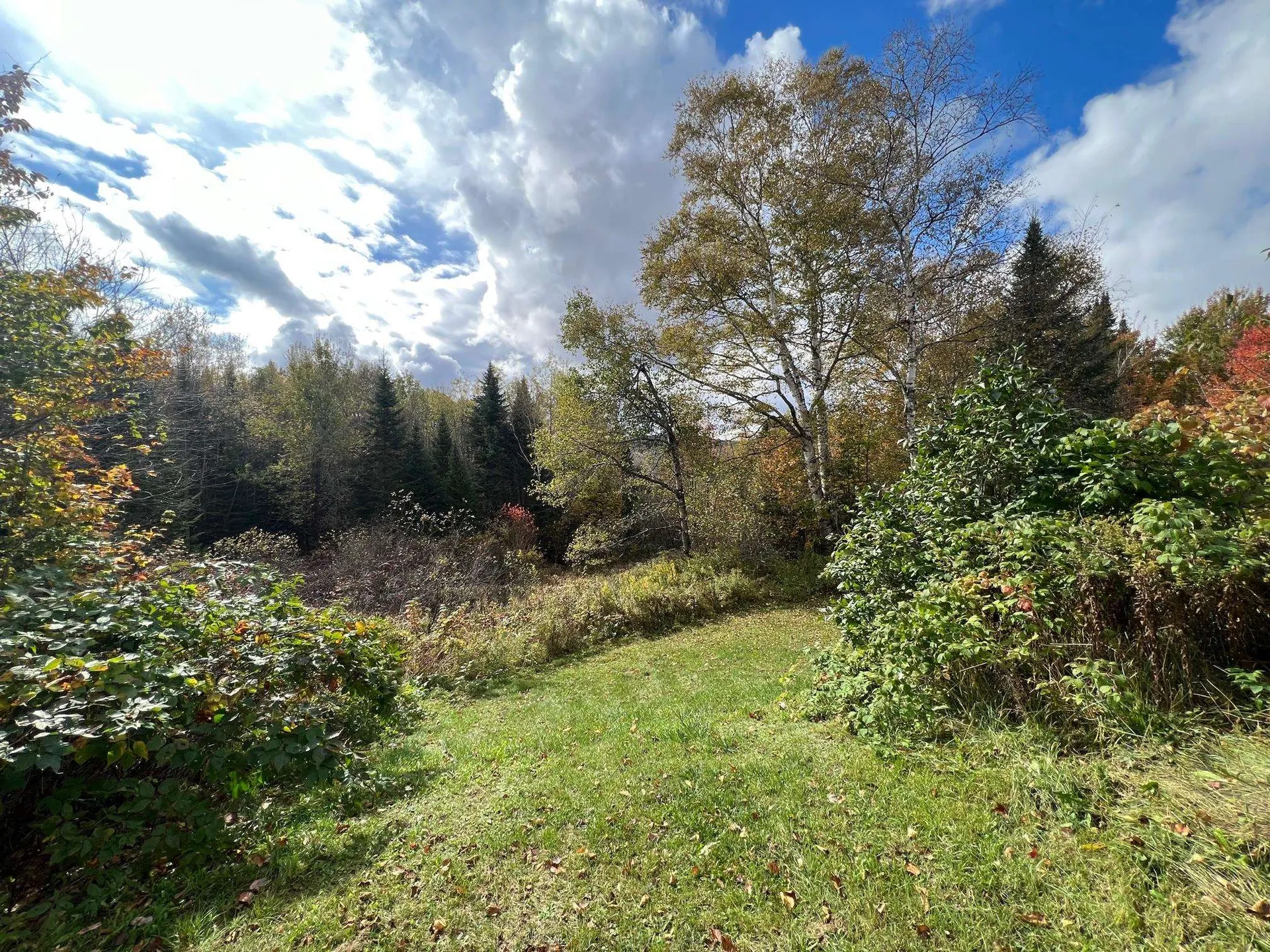 2597 Sims Hill Road Lemington VT 05905