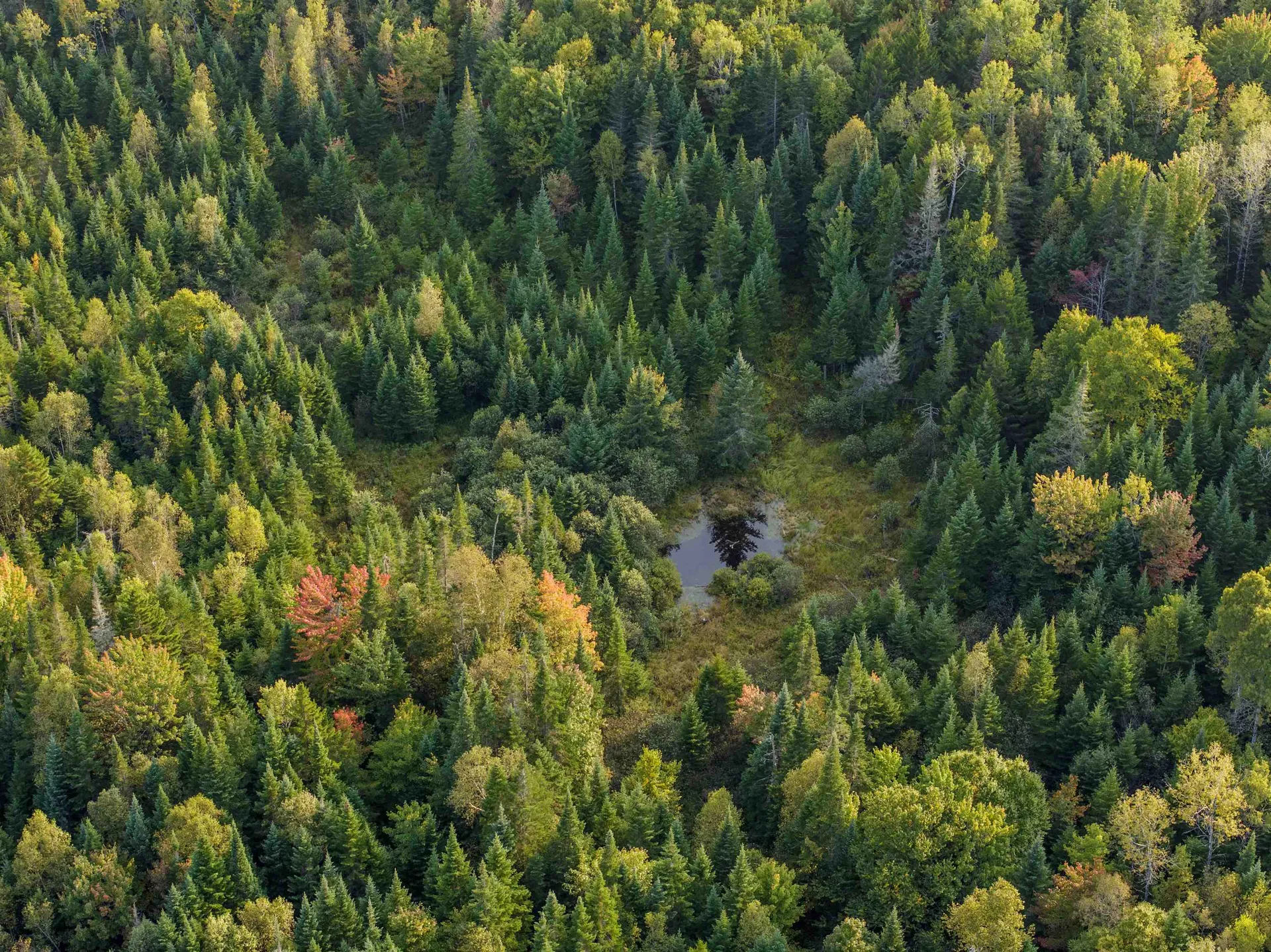 2597 Sims Hill Road Lemington VT 05905