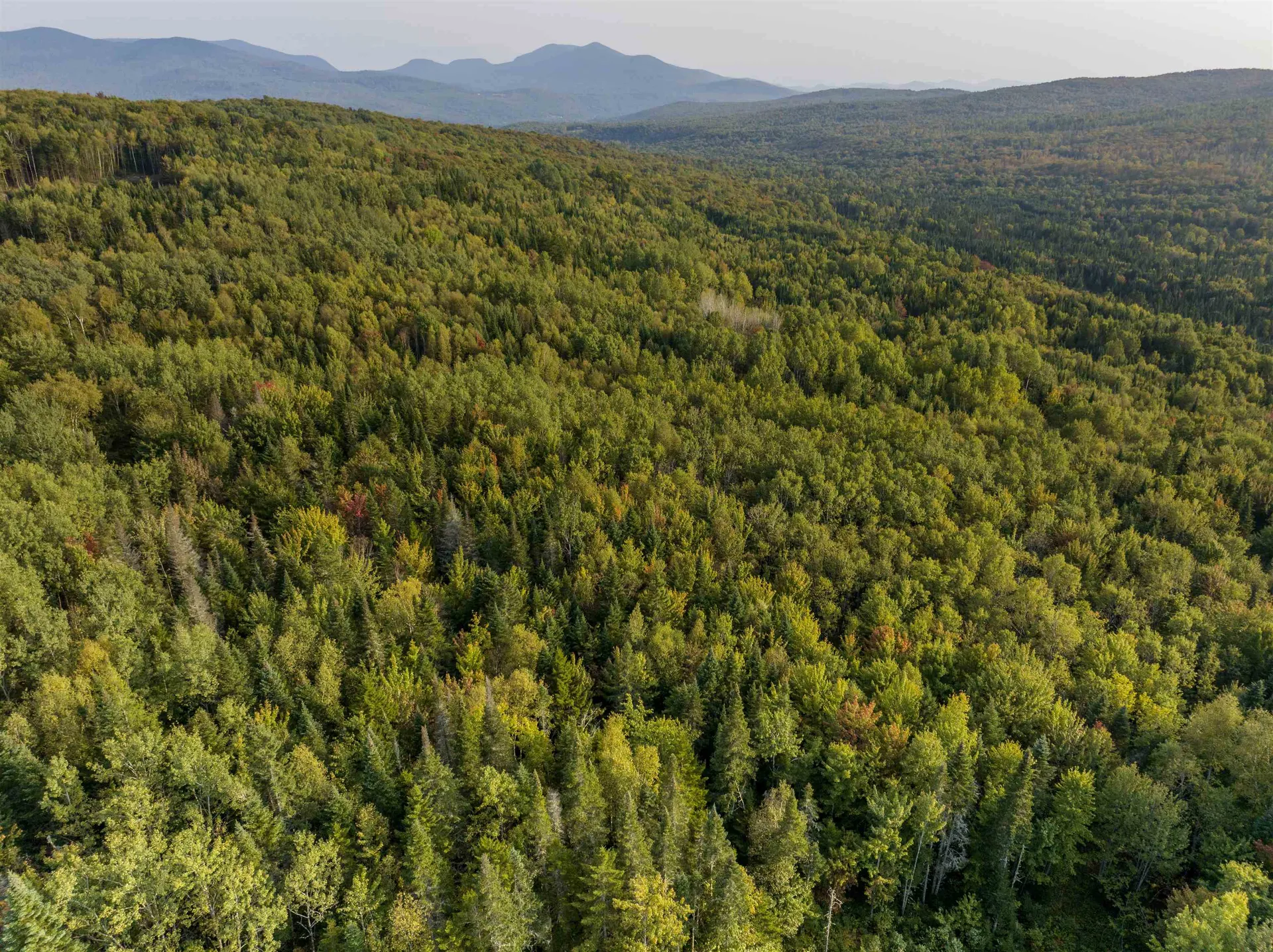 2597 Sims Hill Road Lemington VT 05905