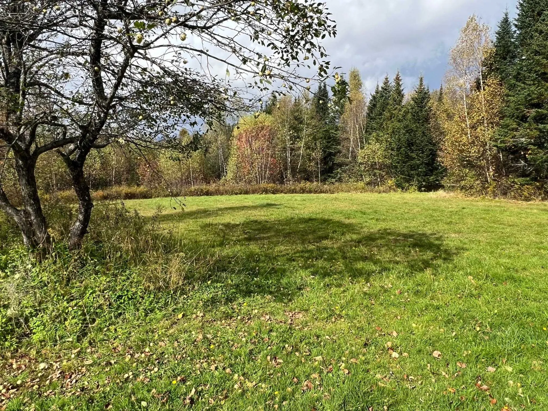 2597 Sims Hill Road Lemington VT 05905