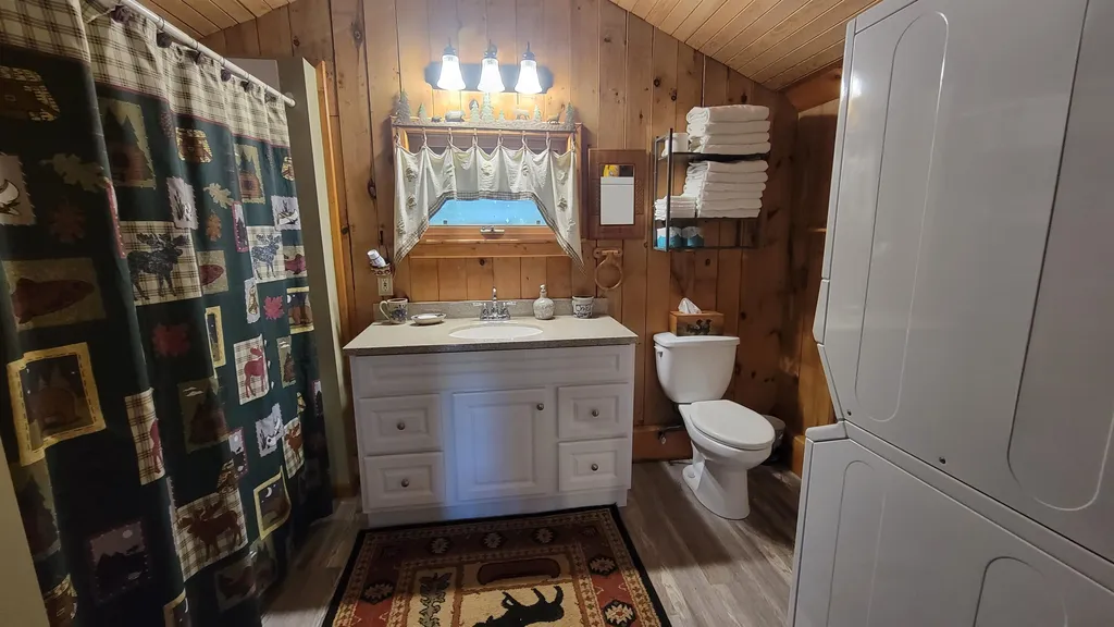 308 Wild Goose Pond Road Pittsfield NH 03263