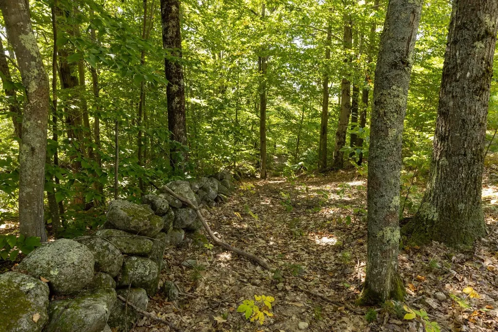 75 Walker Hill Road Ossipee NH 03864