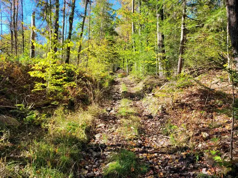 Curtis & Snow Road Winchester NH 03470