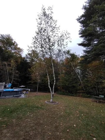 107 Mariah Lane Randolph VT 05060