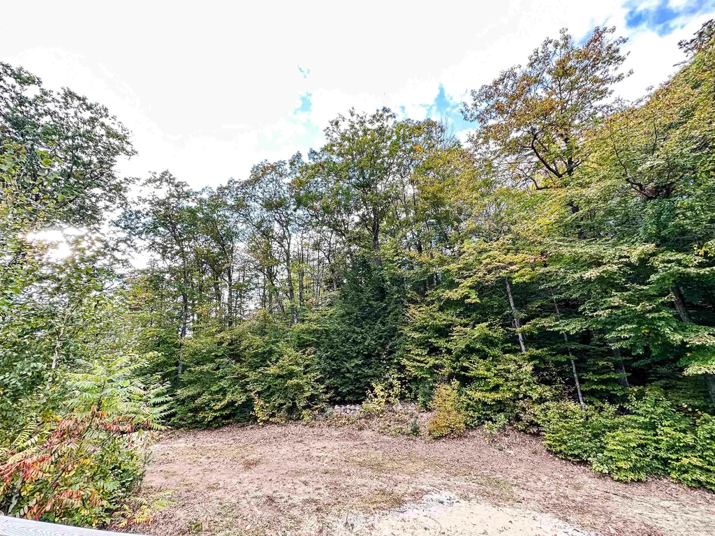 272 Drake Hill Road Albany NH 03818