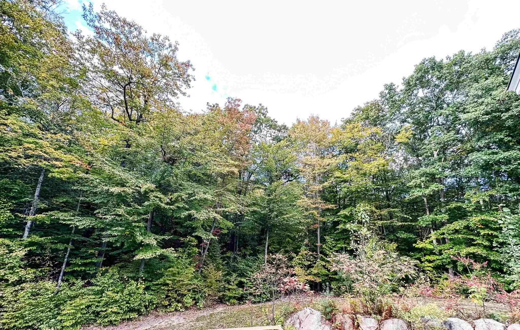 272 Drake Hill Road Albany NH 03818