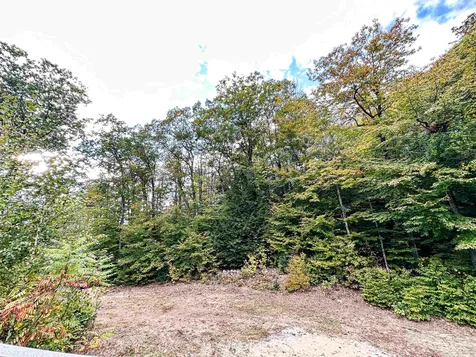 272 Drake Hill Road Albany NH 03818