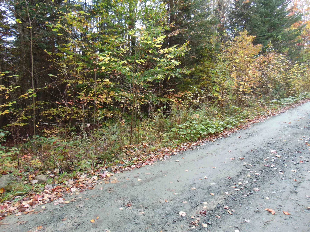 0 Wilderness Road Lunenburg VT 05906