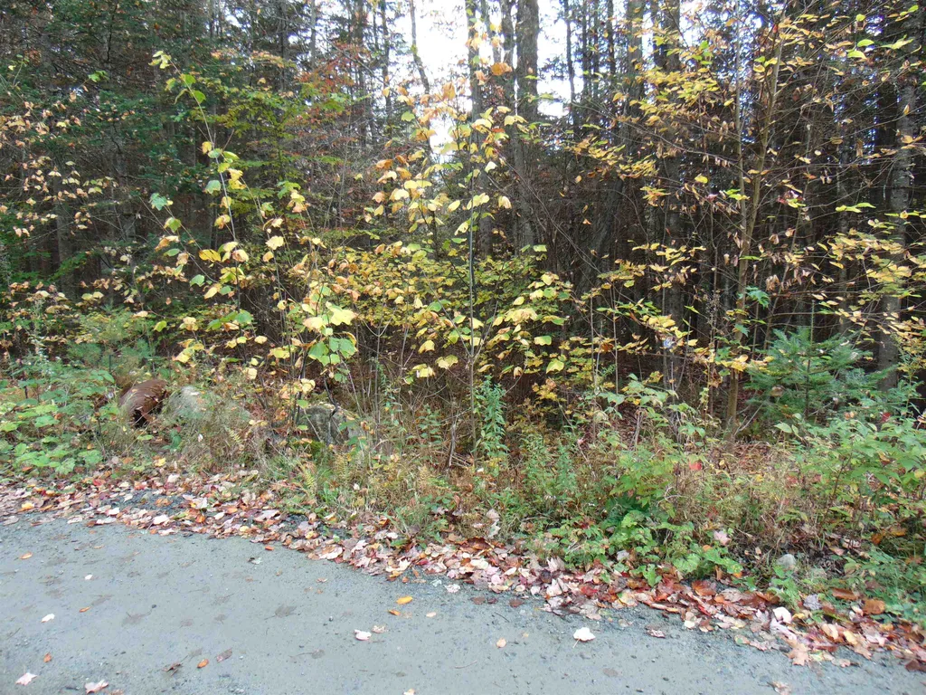 0 Wilderness Road Lunenburg VT 05906