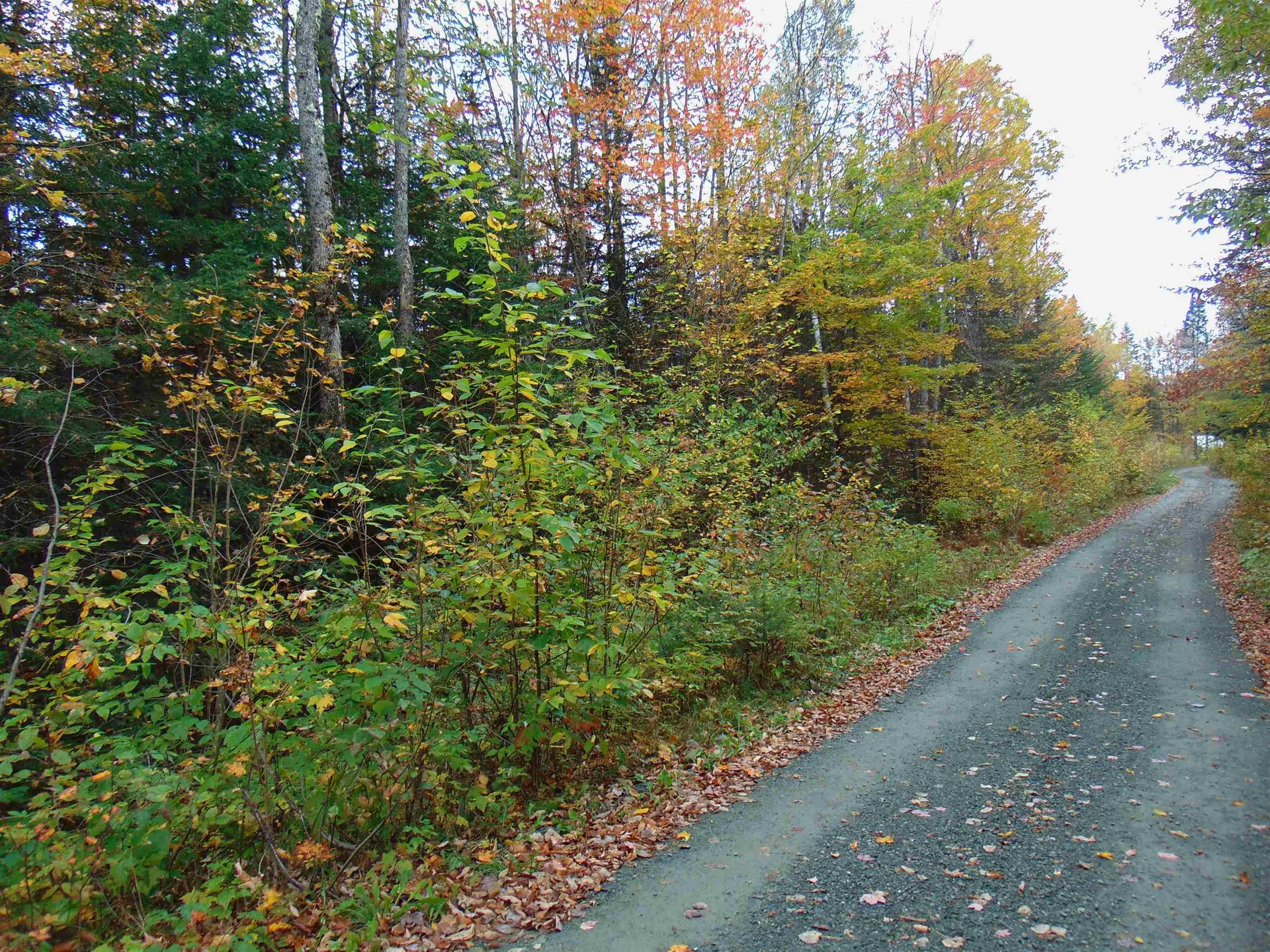 0 Wilderness Road Lunenburg VT 05906