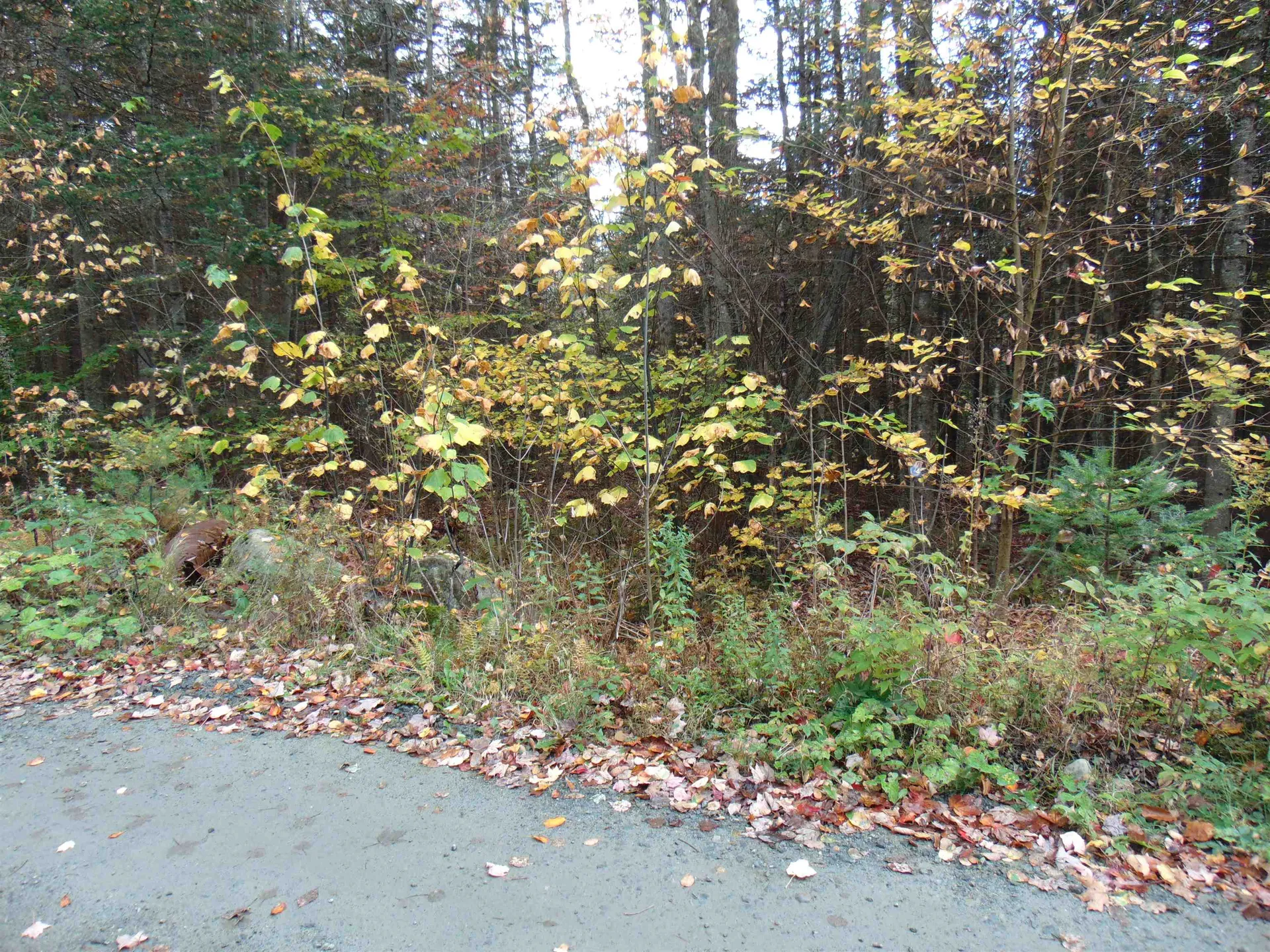 0 Wilderness Road Lunenburg VT 05906