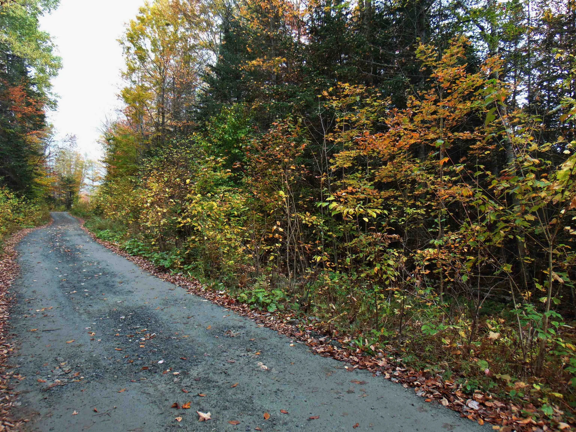 0 Wilderness Road Lunenburg VT 05906