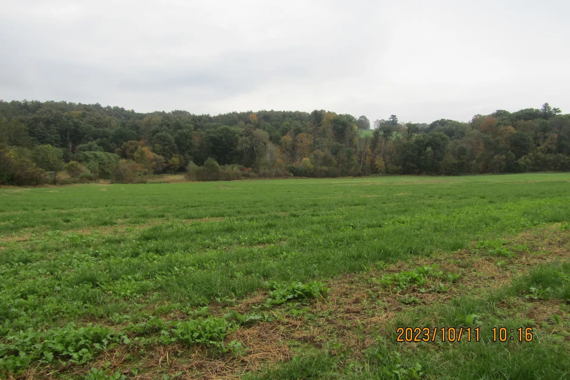 00 Dartmouth College Highway Haverhill NH 03765