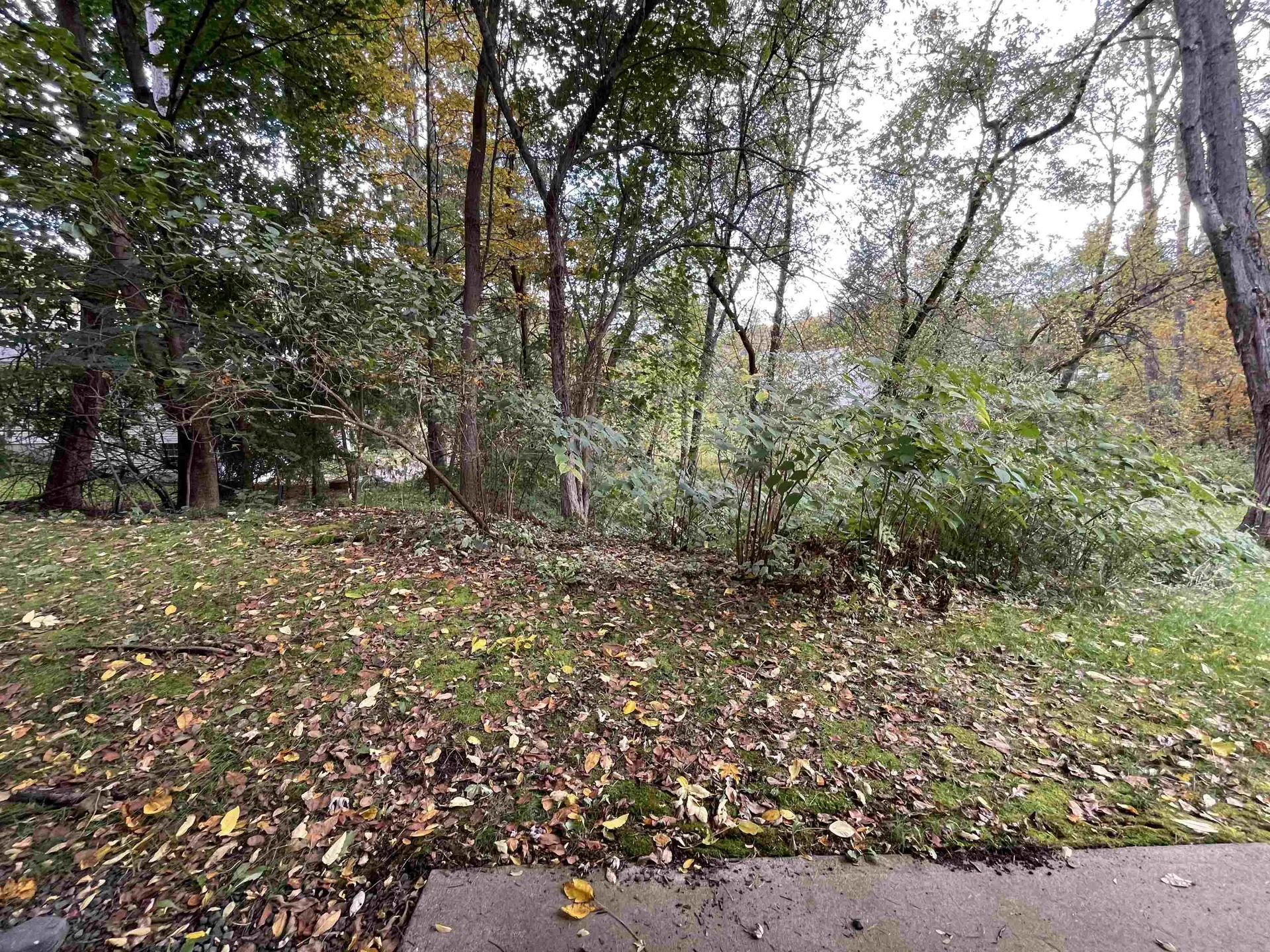 316 Brook Hollow Hanover NH 03755
