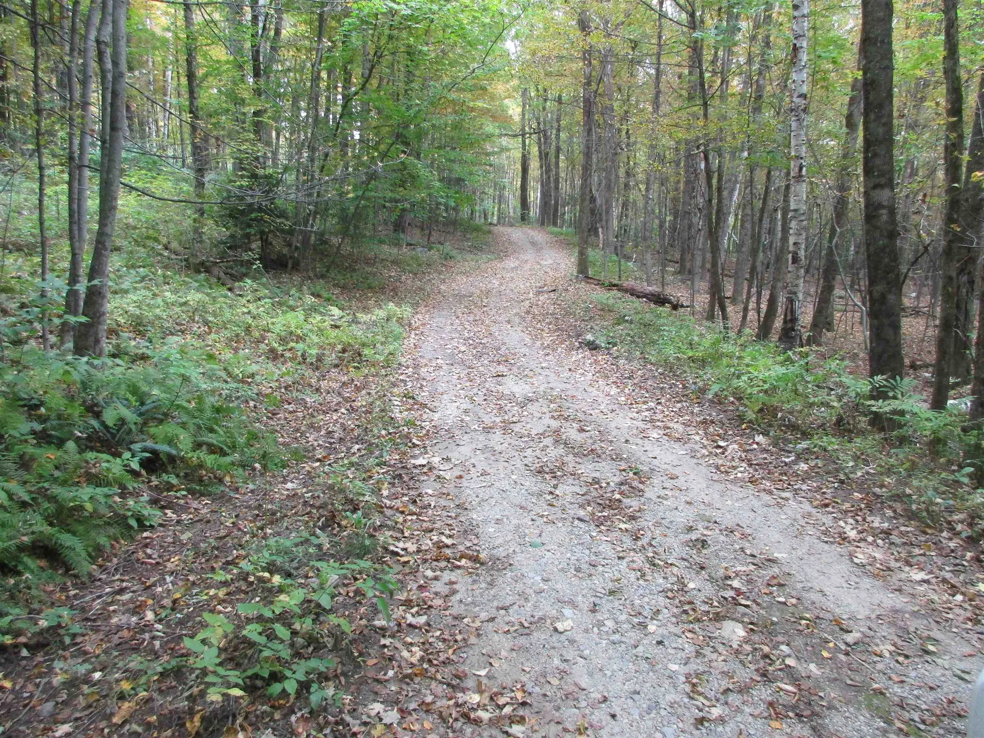 935 Hathaway Road Goshen VT 05733
