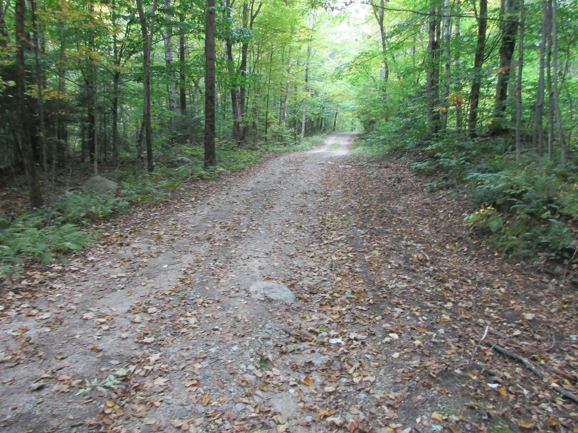 935 Hathaway Road Goshen VT 05733