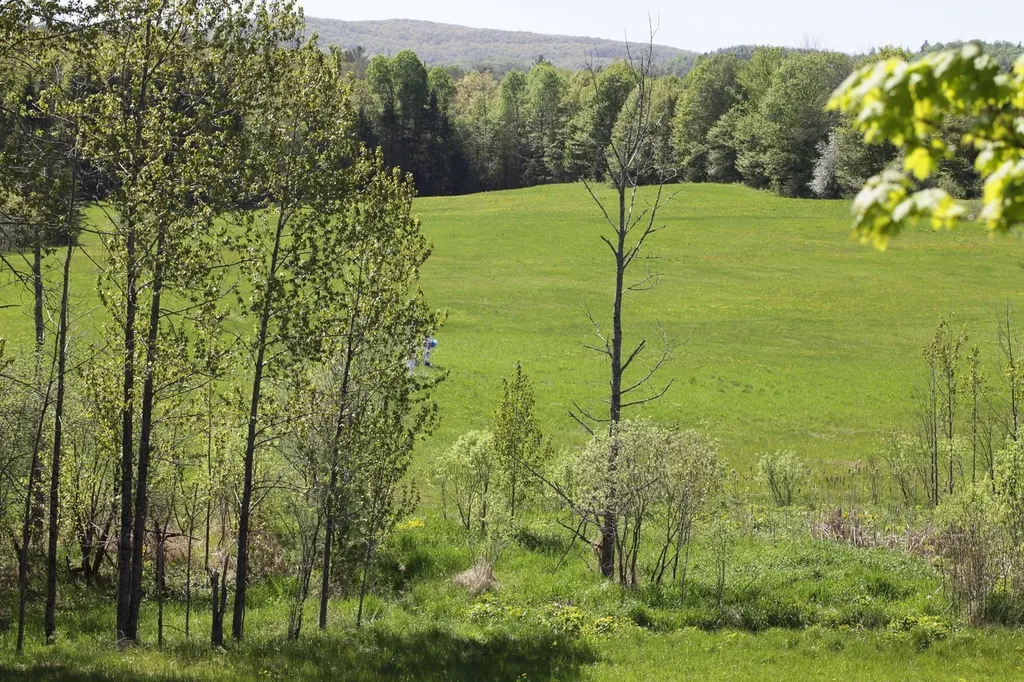 00 Tampico Road Danville VT 05828