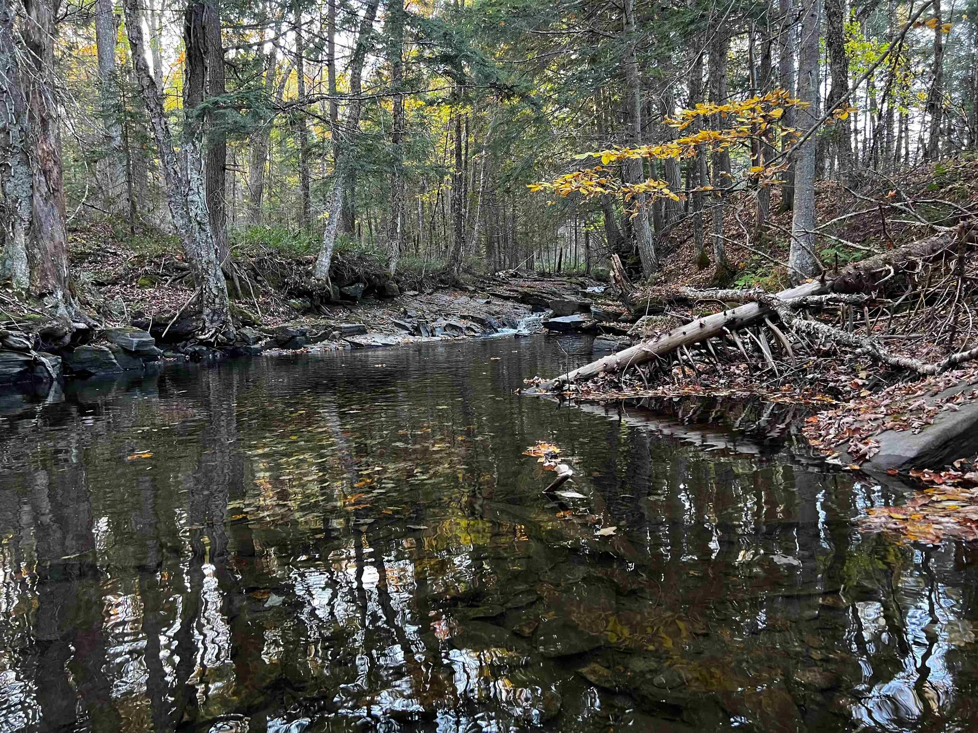 00 Tampico Road Danville VT 05828