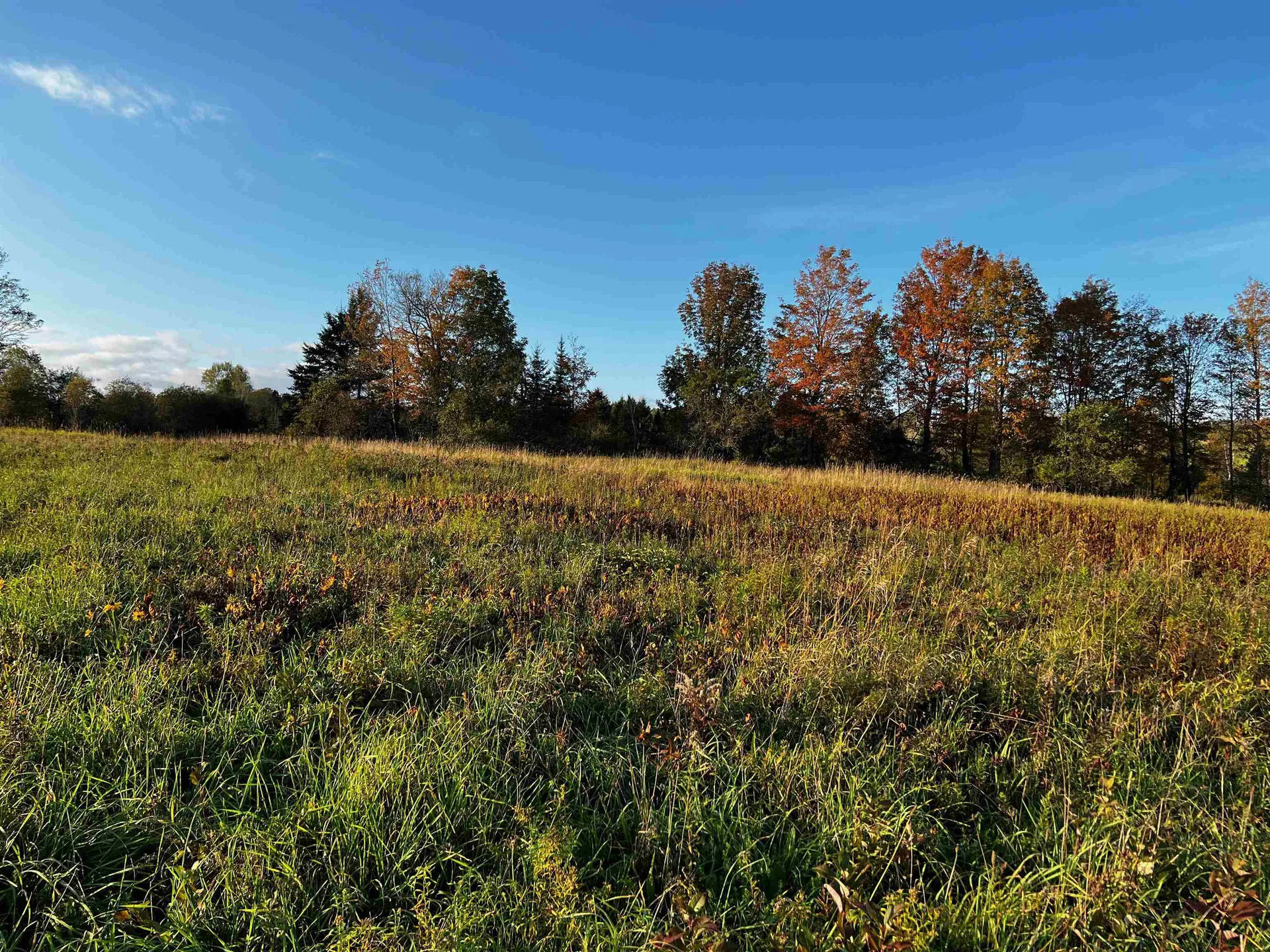 00 Tampico Road Danville VT 05828