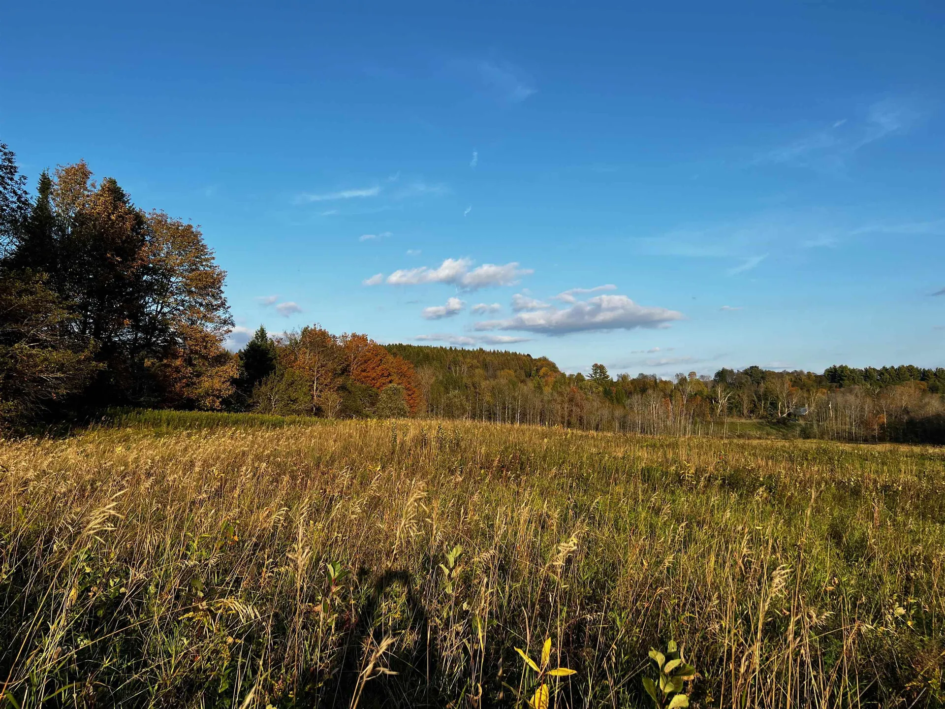 00 Tampico Road Danville VT 05828