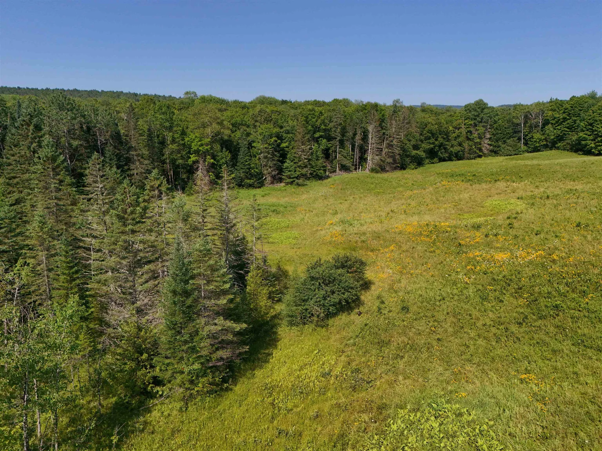 00 Tampico Road Danville VT 05828