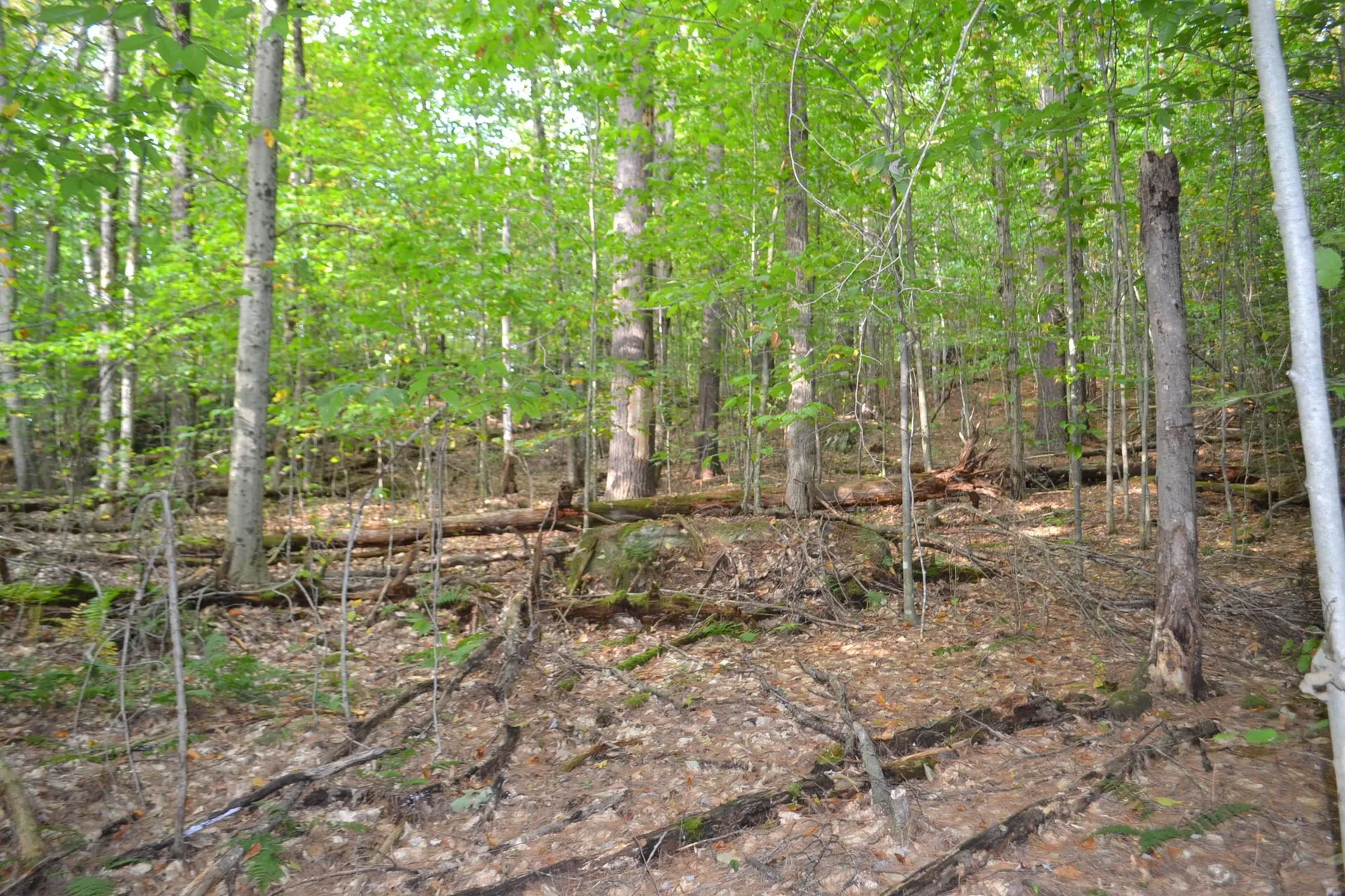 Off Parkside Drive Montpelier VT 05602