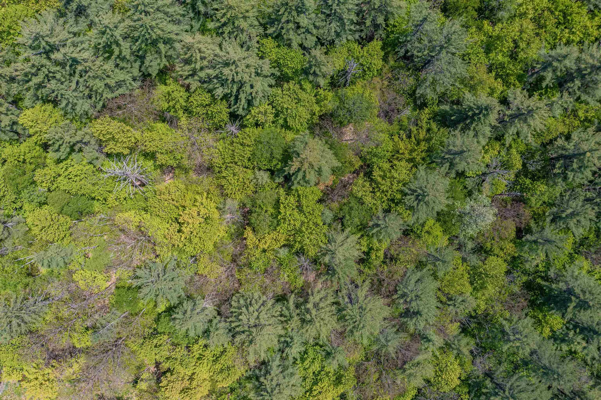 Off Parkside Drive Montpelier VT 05602