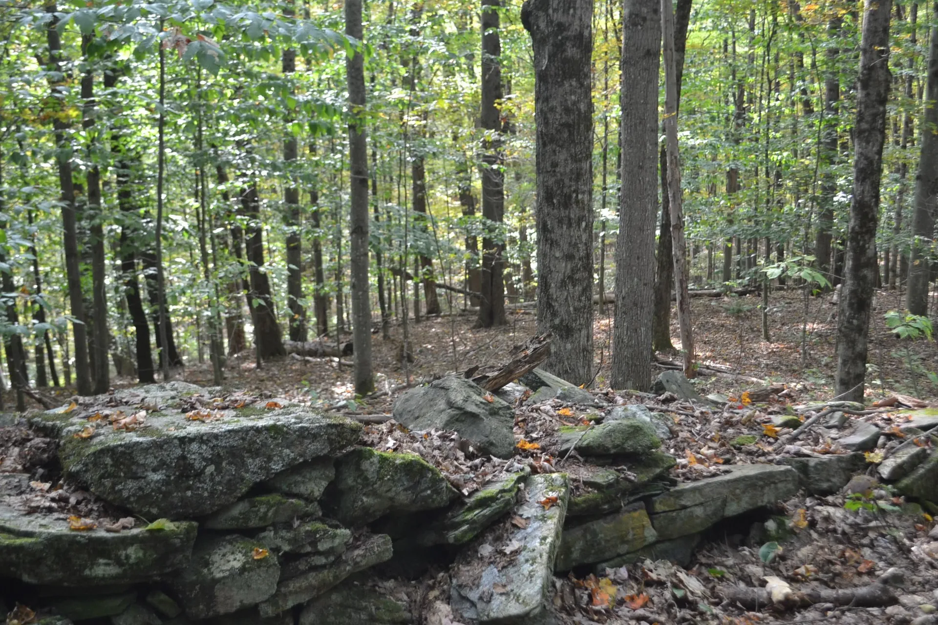 Off Parkside Drive Montpelier VT 05602