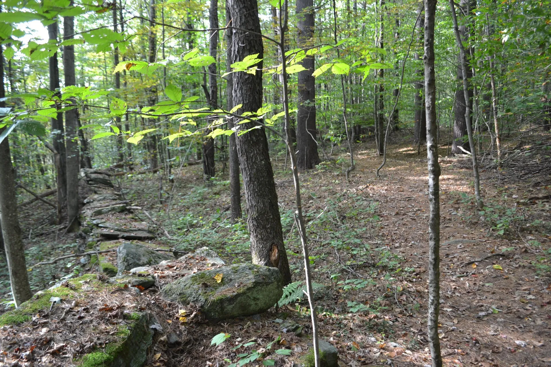 Off Parkside Drive Montpelier VT 05602