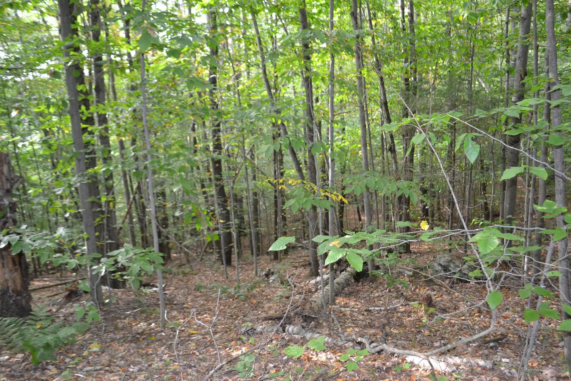 Off Parkside Drive Montpelier VT 05602