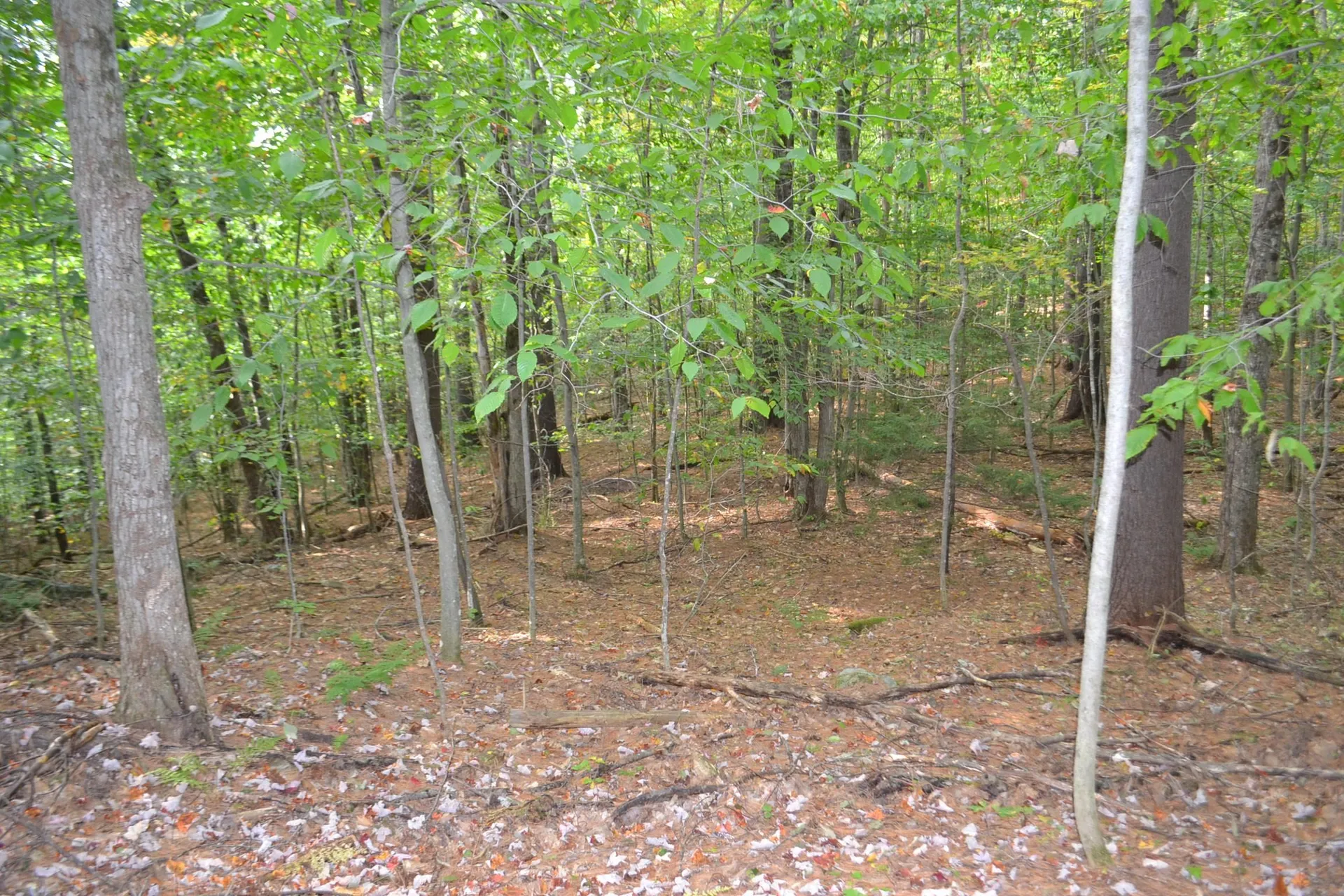 Off Parkside Drive Montpelier VT 05602