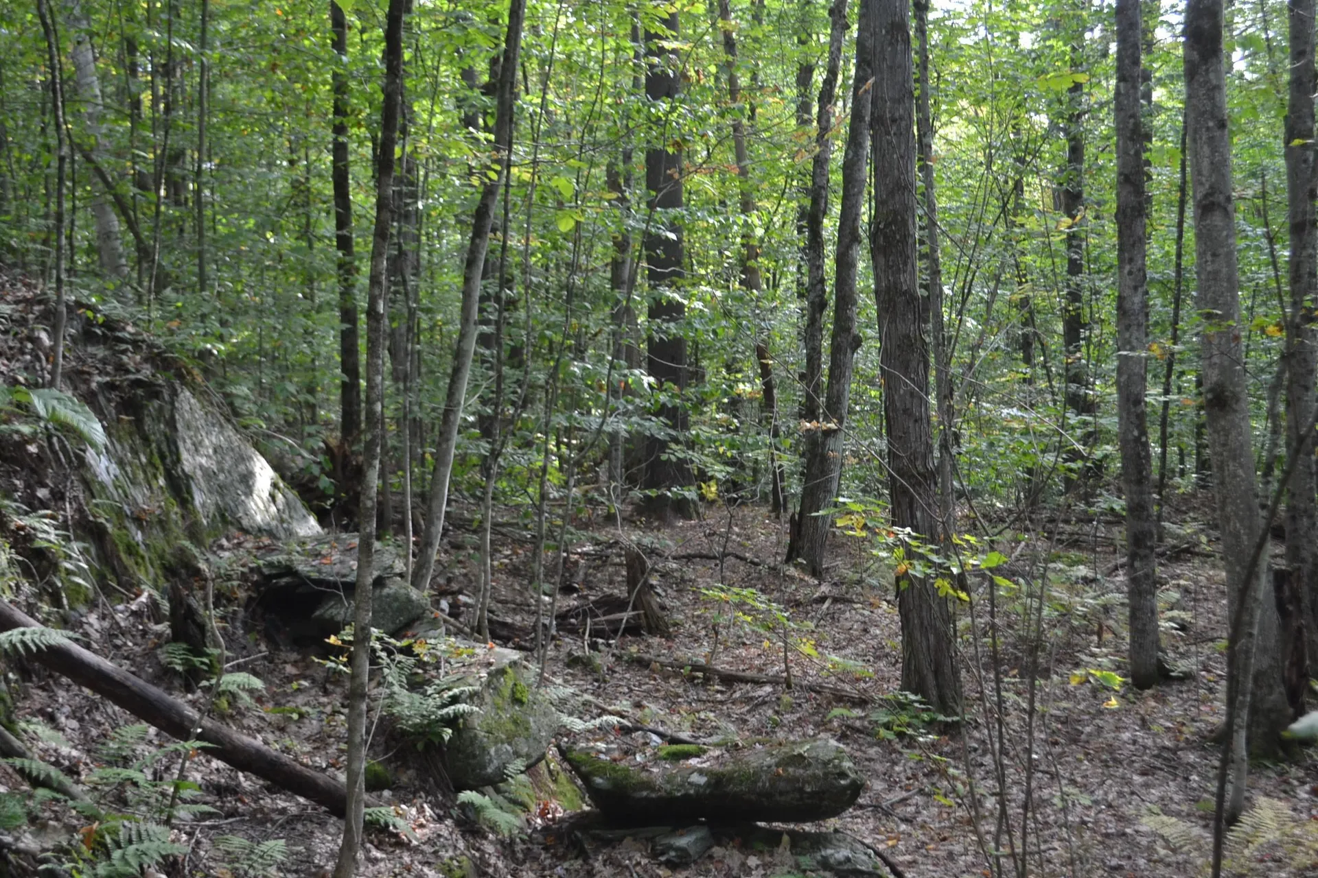 Off Parkside Drive Montpelier VT 05602